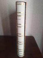 Giuliano Vangi - Francesco il papa Americano - 2016-2016, Antiek en Kunst