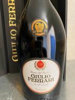 2015 Giulio Ferrari, Riserva del Fondatore - Trentino Alto, Nieuw