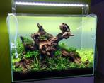 Coral wood 40-55cm aquarium decoratie hout (Hardscaping ), Dieren en Toebehoren, Verzenden, Nieuw