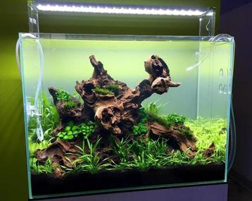 Coral wood 40-55cm aquarium decoratie hout (Hardscaping ), Dieren en Toebehoren, Verzenden, Nieuw