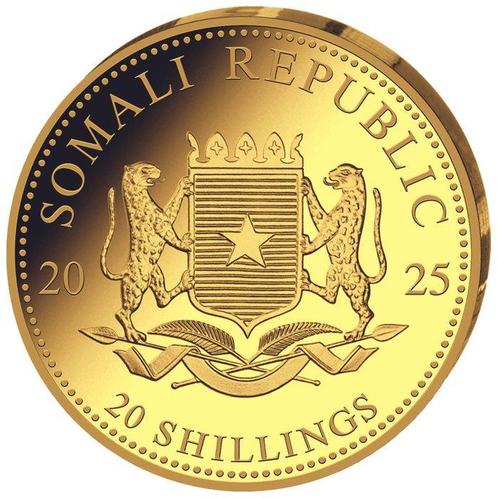Somalie. 20 Shilling 2025 Somalia Leopard 0,5 Gramm, Postzegels en Munten, Edelmetalen en Baren
