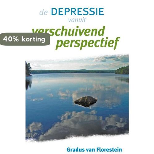 De Depressie Vanuit Verschuivend Perspectief 9789077247983, Boeken, Psychologie, Gelezen, Verzenden