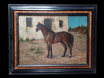Enrico Coleman (1846–1911) - Cavallo