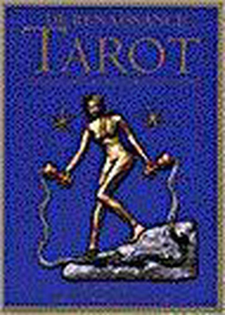 RENAISSANCE TAROT + TAROTKAARTEN 9789021585826 J. Lyle, Boeken, Esoterie en Spiritualiteit, Gelezen, Verzenden