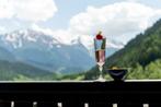 Prachtig modern chalet (16 p) in ruim wintersportgebied., Vacances, Maisons de vacances | Suisse, Chalet, Bungalow of Caravan
