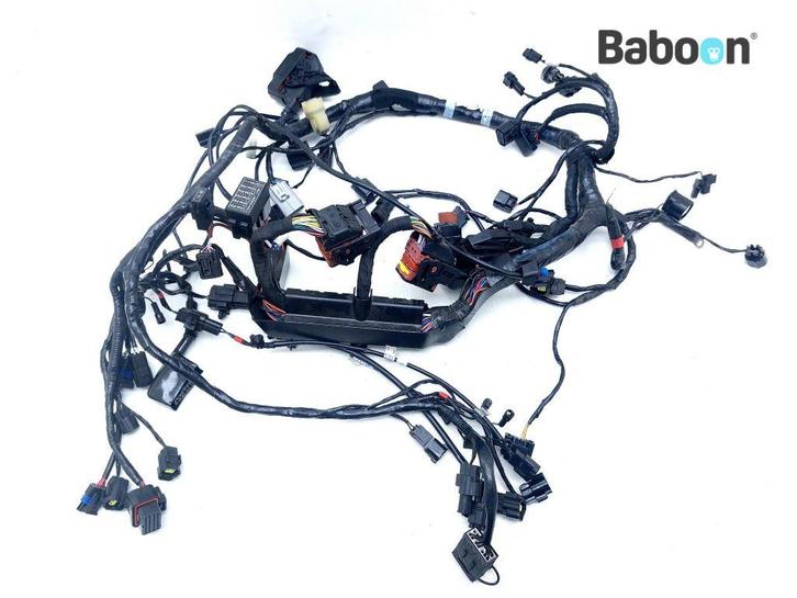 Kabelboom Triumph Tiger 1200 XRT 2018-> (2501392), Motoren, Onderdelen | Overige, Gebruikt, Verzenden