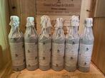 2021 Familia Falasco, Malbec Hermandad - Mendoza, Uco, Nieuw