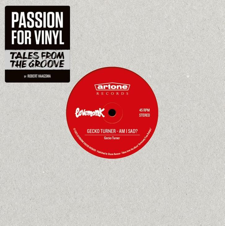 Passion For Vinyl 9789082783919 Robert Haagsma, Livres, Langue | Anglais, Envoi