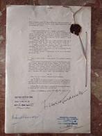 Document - Benito Mussolini - 8 Pagine Autografo Amm., Collections