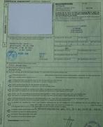 Valk Taxidermie volledige montage - Falco peregrinus - with, Nieuw