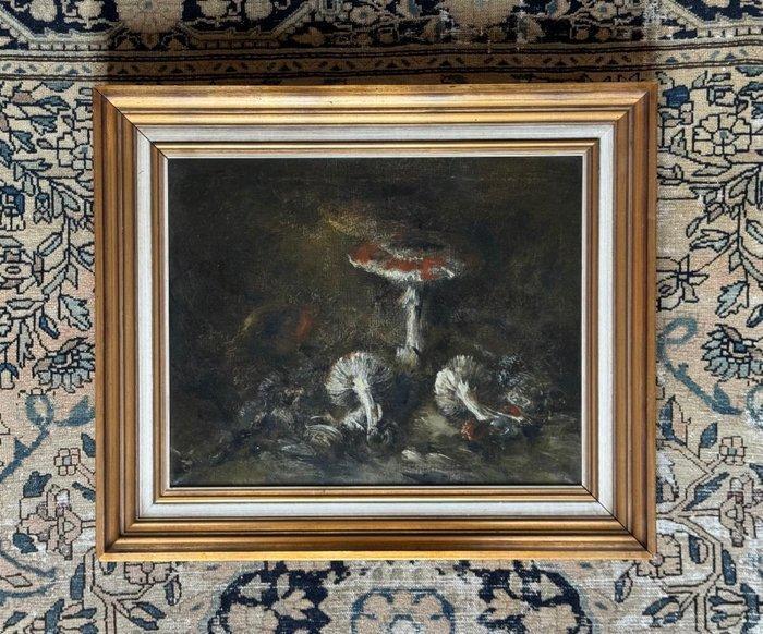 Theo Goedvriend (1879 -1969) - Stilleven van Paddenstoelen, Antiek en Kunst, Kunst | Schilderijen | Klassiek