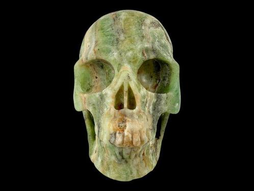 Crâne en calcite Kiwi « Qualité Musée » Crâne sculpté - Kiwi, Verzamelen, Dierenverzamelingen