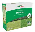 NIEUW - DCM Gazonvoeding Herstel 3 kg, Verzenden