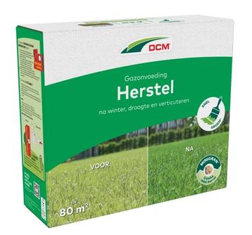 NIEUW - DCM Gazonvoeding Herstel 3 kg, Verzenden