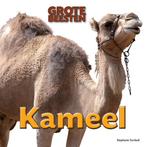 Kameel / Grote Beesten 9789461752543 Stephanie Turnbull, Verzenden, Stephanie Turnbull