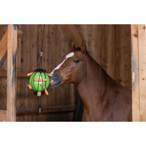 Balle à jouer thérapeuthique pour chevaux - kerbl, Animaux & Accessoires, Autres accessoires pour animaux, Neuf