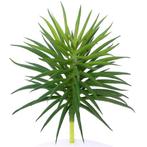 12. 5cm. ARTIFICIAL SUCCULENT GREEN 868685 Succulent, Nieuw