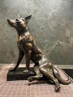 Statue, Zittende herderhond - 7 kg - 40 cm - Marbre, Régule, Antiek en Kunst