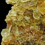 agrégat de fluorite jaune miel Cristaux sur matrice -