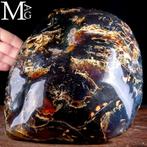 Zeldzaam reusachtig monster met buitengewone