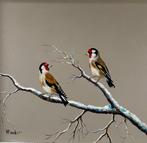 HPoeder - Vogels