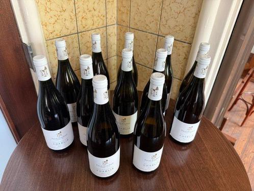 2003 Pascal Bouchard - Chablis Appellation Chablis Contrôlée, Verzamelen, Wijnen