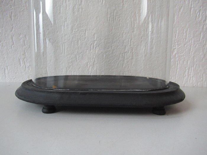 Stolp - Glas en hout - 1900-1910, Antiek en Kunst, Antiek | Overige Antiek