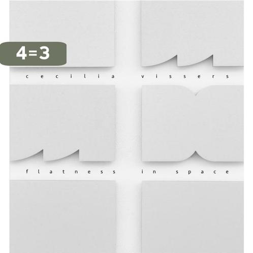 Cecilia Vissers. Flatness in Space 9789462262393 Vilis Inde, Boeken, Kunst en Cultuur | Beeldend, Zo goed als nieuw, Verzenden