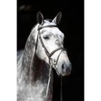Bridon cuir marron poney poney - kerbl