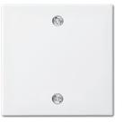 ABB Busch-Jaeger Balance SI Schakelelement/Centrale Plaat -, Doe-het-zelf en Bouw, Verzenden, Nieuw