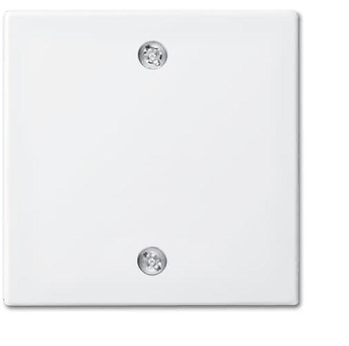 ABB Busch-Jaeger Balance SI Schakelelement/Centrale Plaat -, Doe-het-zelf en Bouw, Elektriciteit en Kabels, Verzenden