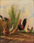 Albertus Verhoesen (1806-1881) - Chickens and hens, Antiquités & Art, Art | Peinture | Classique