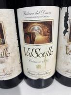 1995 Bodegas Ismael Arroyo, ValSotillo - Ribera del Duero, Nieuw