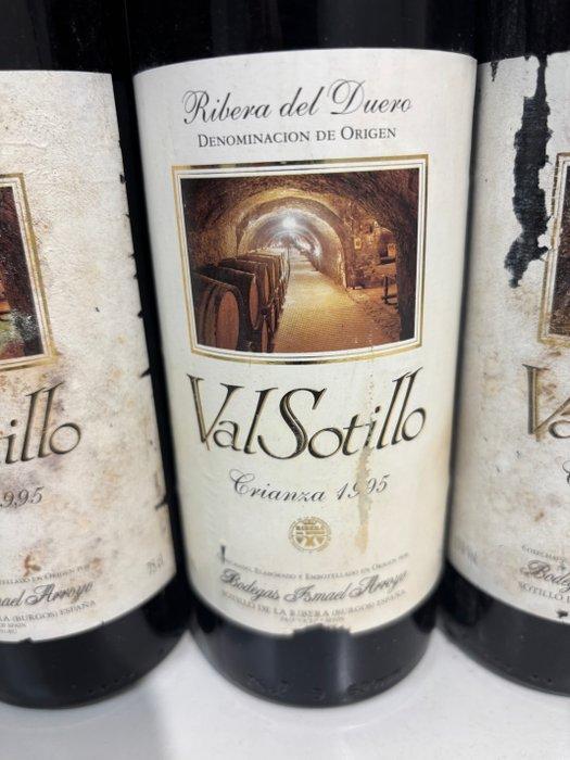1995 Bodegas Ismael Arroyo, ValSotillo - Ribera del Duero, Verzamelen, Wijnen