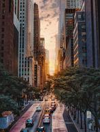 Fabian Kimmel - Summer in the City, New York