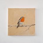 Matthieu van Riel - Roodborstje