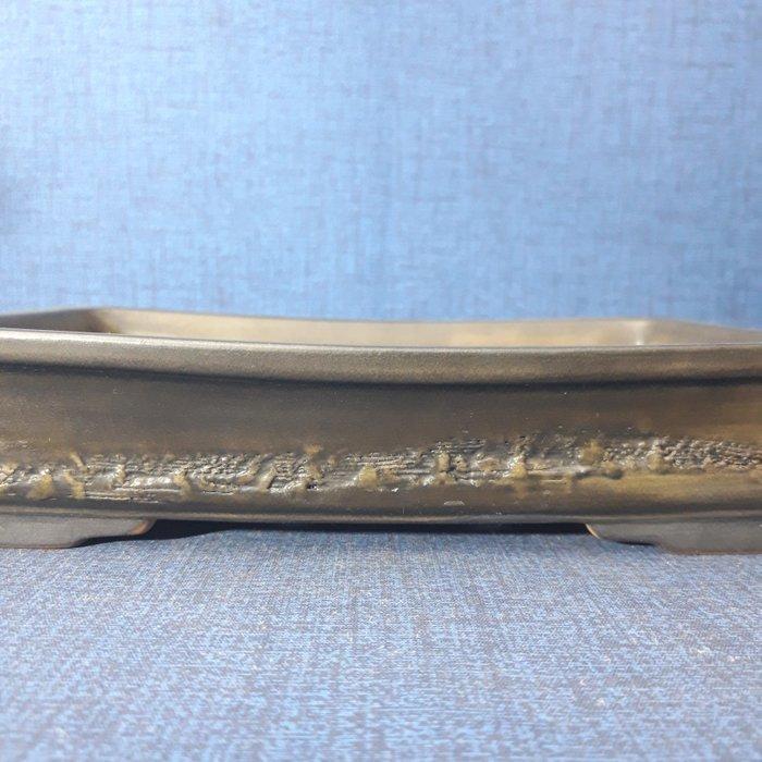 Schotel - Klei - Bonsaischale, Antiek en Kunst, Curiosa en Brocante