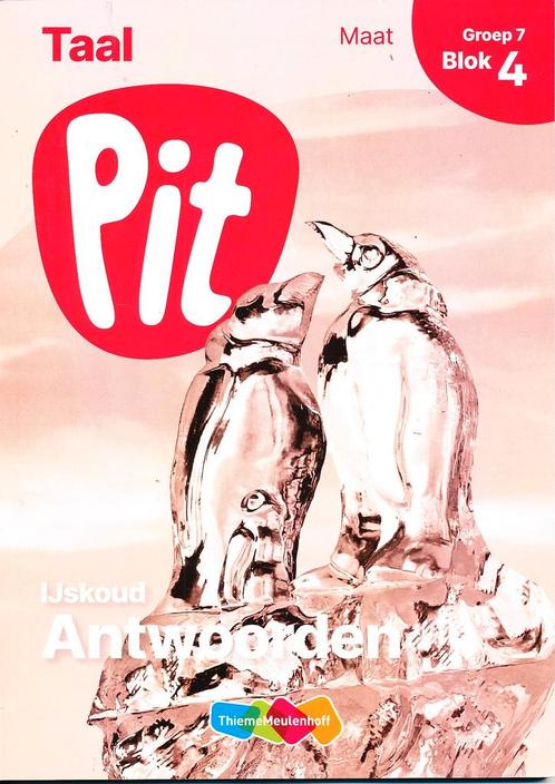 Pit Antwoorden Taal Maat blok 4 groep 7, Livres, Livres scolaires, Envoi