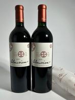 2019 Almaviva - Puento Alto Maipo Vallei - 2 Flessen (0.75