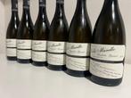 2017 Bussoletti, Colle Murello Trebbiano Spoletino - Umbrië, Nieuw