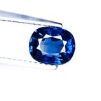 Blauw Saffier  - 1.52 ct - International Gemological, Handtassen en Accessoires, Edelstenen, Nieuw