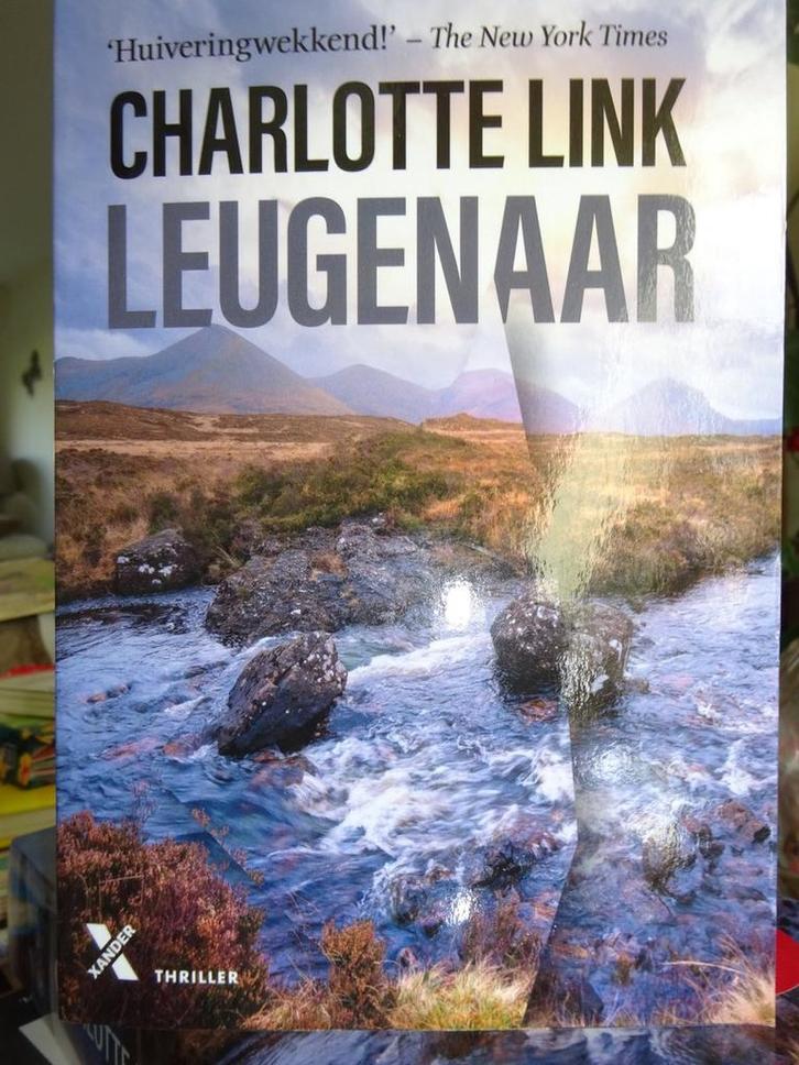 Leugenaar 9789401618595 Charlotte Link, Boeken, Thrillers, Zo goed als nieuw, Verzenden