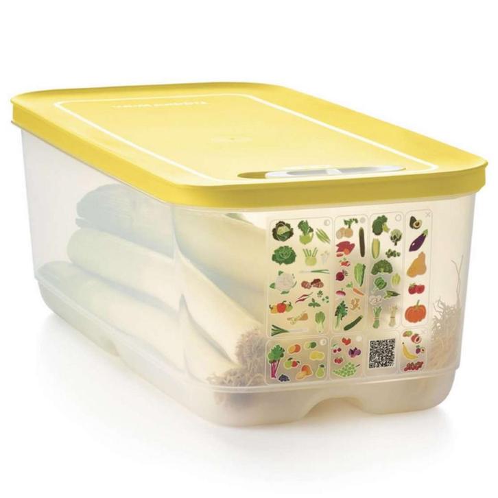 Tupperware VentSmart Koelkastdoos doos frigo 6,1 l, Maison & Meubles, Cuisine| Tupperware, Envoi