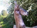 Noordelijke specht Taxidermie volledige montage - Sitta, Verzamelen, Nieuw