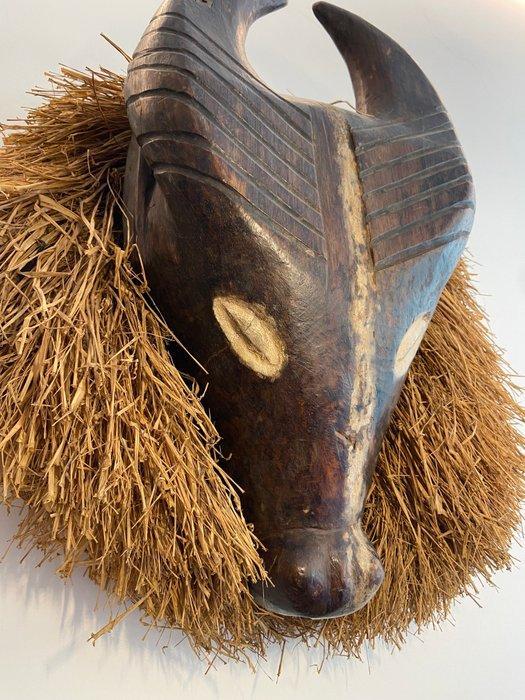 Holo - DR Congo, Antiek en Kunst, Kunst | Niet-Westerse kunst