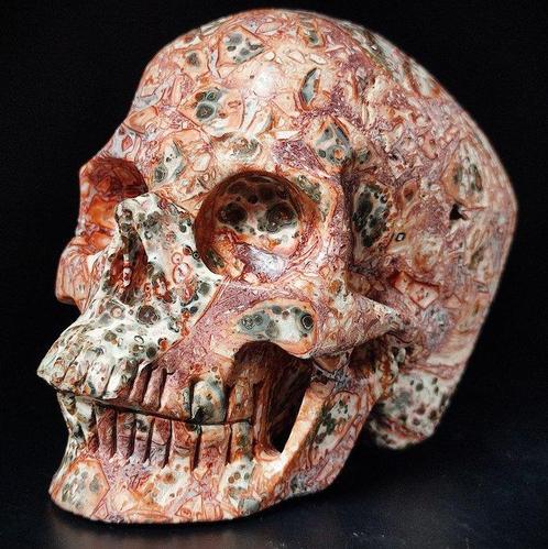 Jaspe Léopard, Beau et Rare Crâne - Hand Carved Skull - 105, Verzamelen, Mineralen en Fossielen