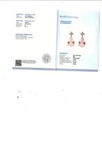 Zonder minimumprijs - Oorbellen - 14 karaat Roségoud -