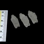 Roman Kristallen dierenkraal Amulet (Zonder minimumprijs)