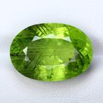 Sans Prix de Réserve Vert Péridot  - 20.03 ct -, Handtassen en Accessoires, Nieuw