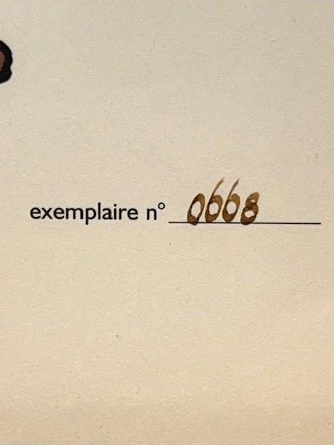 Tintin - 1 illustration - Lithographie Moulinsart Tintin -, Livres, BD